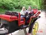 The ride back