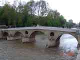 Lilly on the Latin Bridge